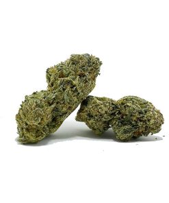 Purple Ayahuasca AAAA