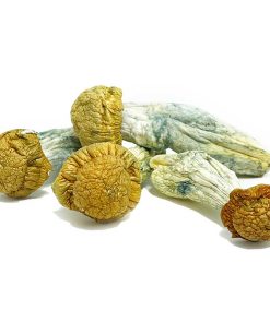 Blue Meanie Magic Mushroom