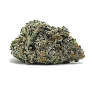 Ice Cream Gelato AAAAA