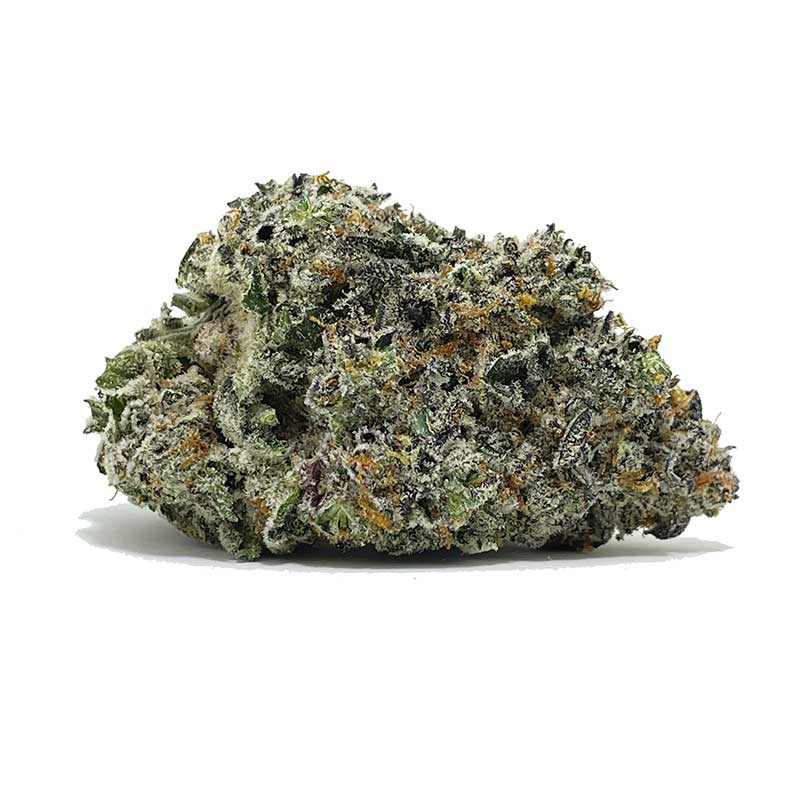 Ice Cream Gelato AAAAA